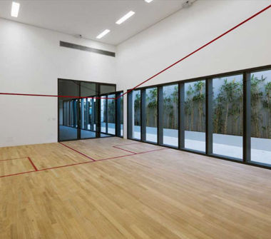 Perspectiva ilustrada do squash